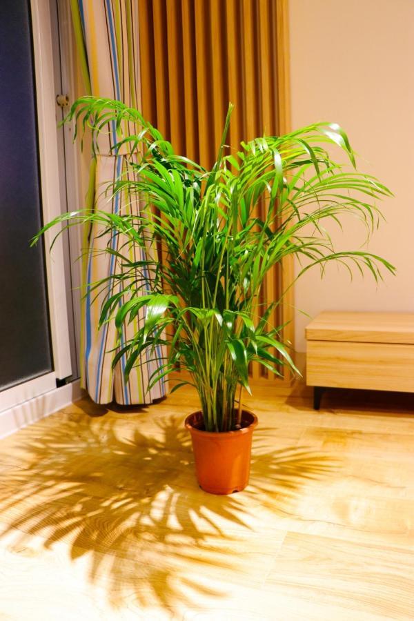 Pingtung Zen Home المظهر الخارجي الصورة